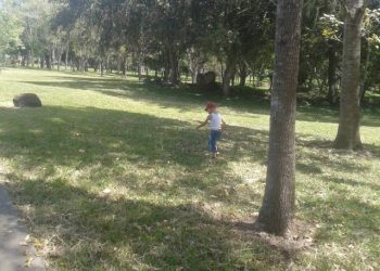 Instalaciones del Parque Recreacional Boconó están muy abandonadas