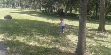 Instalaciones del Parque Recreacional Boconó están muy abandonadas