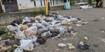 Dos semanas sin servicio de aseo urbano tiene sector Las Travesías en Valera