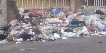 Vecinos denuncian insalubridad en El Milagro