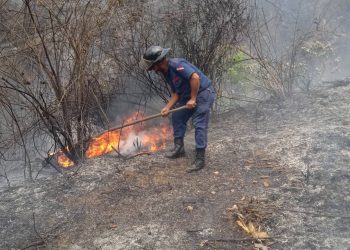 Bomberos de Boconó combaten incendios forestales