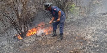 Bomberos de Boconó combaten incendios forestales