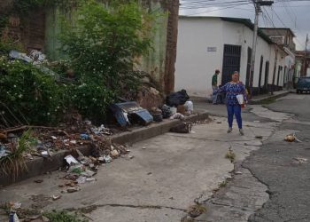 Solicitan activación de terreno baldío en la Calle 10