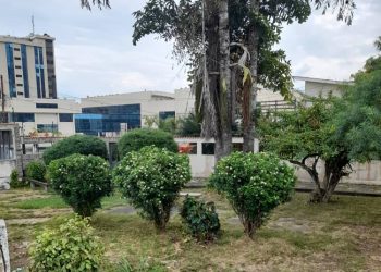 Pretenden cercar área verde en Las Acacias