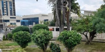 Pretenden cercar área verde en Las Acacias