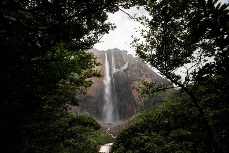 Fotografía de archivo donde se observa la cascada más alta del mundo, el Salto Ángel, en una de las paredes del Auyan Tepuy en el parque nacional Canaima (Venezuela). EFE/ Miguel Gutiérrez