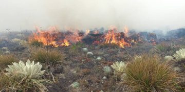 Extinguen incendio forestal en el municipio Trujillo