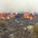 Extinguen incendio forestal en el municipio Trujillo