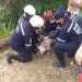 Bomberos rescatan dos perros mucuchiceros de un barranco en sector Las Heroínas