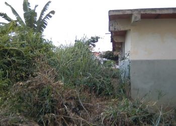 Comunidad escolar del Liceo Emiro Fuenmayor de Betijoque, le cambia el nombre al «liceo del terror»