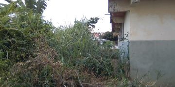 Comunidad escolar del Liceo Emiro Fuenmayor de Betijoque, le cambia el nombre al «liceo del terror»