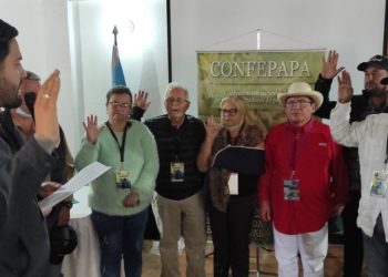 Agricultores crean Confederación Nacional de Productores y Comercializadores de Papa «Fedepapa»