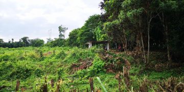 Fallas en combustible y electricidad alarman a productores merideños