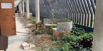 Llaman a rescatar la ULA Táchira tras desvalijamiento y abandono de la sede