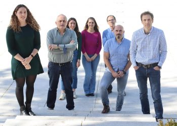 Identifican un mecanismo que puede ser esencial para regenerar órganos