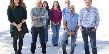 Identifican un mecanismo que puede ser esencial para regenerar órganos