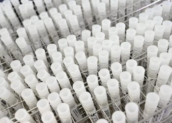Hallan una conexión entre el metabolismo de la glucosa y los tumores colorrectales