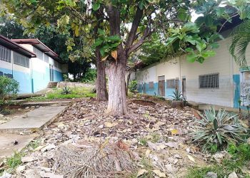 Liceo “Emiro Fuenmayor” desasistido por el gobierno regional y la Zona Educativa