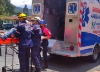 Oso frontino del Zoológico Chorros de Milla atacó a un cuidador