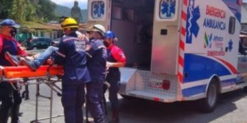 Oso frontino del Zoológico Chorros de Milla atacó a un cuidador