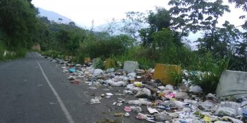 Carvajal colapsada por inexistente servicio de aseo urbano