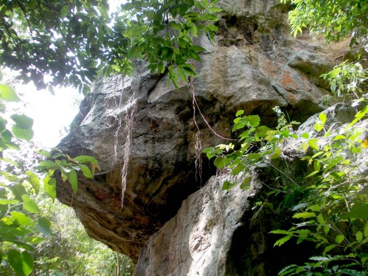 Parque La Abejita y Piedra del Zamuro en completo abandono