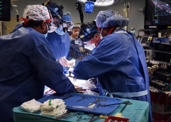 Muere dos meses después el paciente con un corazón de cerdo trasplantado