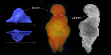 La Venus de Willendorf, una viajera por la Europa de hace 30.000 años