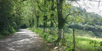 Inició Plan de Socialización del Parque Chorro El Indio como Reserva de Vida de San Cristóbal