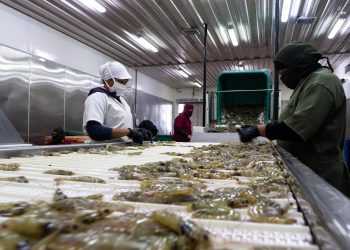Las exportaciones de Venezuela a EE.UU. aumentaron un 80 % en 2021