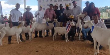 Granja Saman logra varios premios en Expoferia Ovina-caprina Miranda 2022
