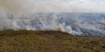 Brasil lideró la pérdida de bosques tropicales primarios en el mundo en 2021