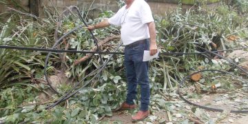 Desarrollos habitacionales del  norte de Betijoque afectados por cortes de electricidad y teléfonos