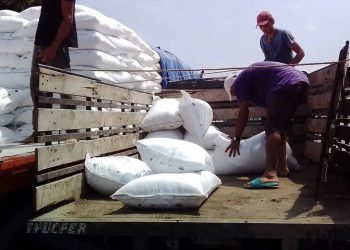 Venta de fertilizantes en Sabana de Mendoza
