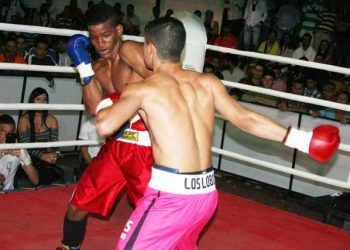 Se reúne Comisión reorganizadora del boxeo