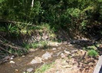 Quebrada de Los Cedros y su protagonismo en la historia de Trujillo / Por: Adalberto Gudiño Araujo
