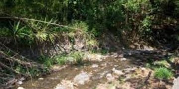 Quebrada de Los Cedros y su protagonismo en la historia de Trujillo / Por: Adalberto Gudiño Araujo