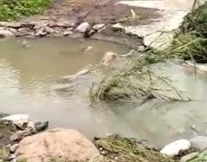 Comunidad de Bitubu incomunicada por fuertes lluvias y no han recibido ayuda gubernamental