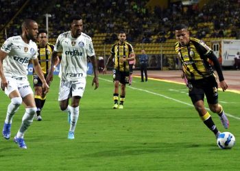 Palmeiras amargó debut de  los atigrados en la Libertadores