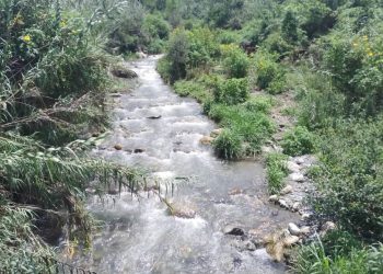 Boconó | Habitantes de La Sabanita exigen dragado de quebrada