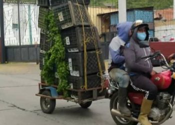 Dolarización y poco combustible afecta a productores del Páramo merideño