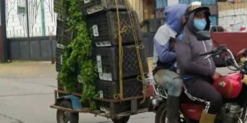 Dolarización y poco combustible afecta a productores del Páramo merideño