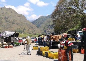 Mérida: Vendedores mayoristas de frutas y verduras no cuentan con espacios apropiados