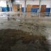 Ante colapso de aguas negras la Daes ULA podría ser reubicada