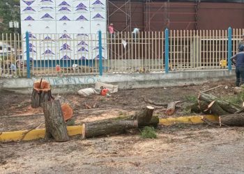 Vecinos de la Pedregosa rechazan tala de árboles por construcción de supermercado