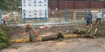 Vecinos de la Pedregosa rechazan tala de árboles por construcción de supermercado