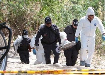 Tres nuevas muertes se suman a la guerra entre el ELN y miembros del Tren de Aragua en trochas tachirenses