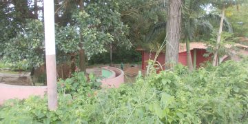 La maleza se ha ido comiendo las aceras ubicadas cerca al manantial El Pocito de Betijoque