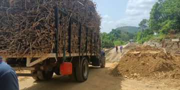 Tiende a normalizarse transitabilidad de vehículos por carretera Betijoque al eje panamericano