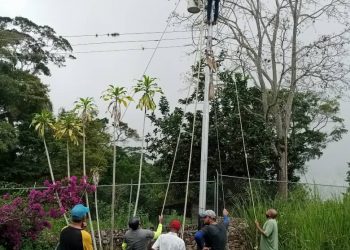 Solucionado problema de alumbrado en sector Produaguacate de Isnotú